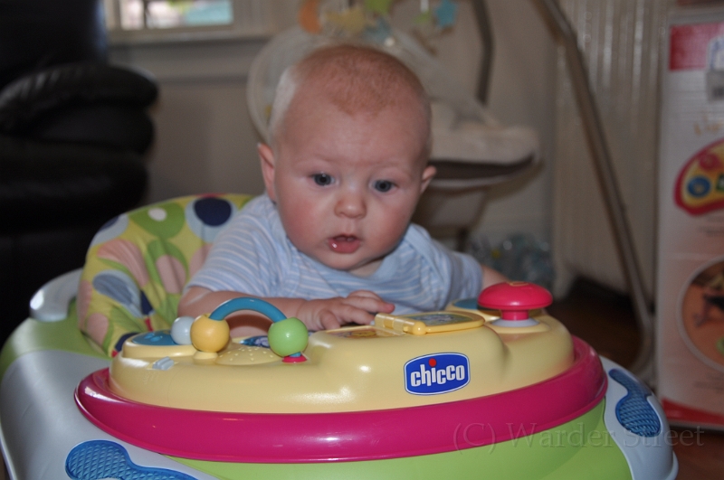 William's Sixteenth Week 02.jpg